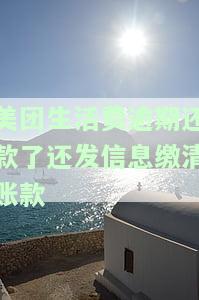 美团生活费逾期还款后需全额还款，再次借款时间及逾期处理方式