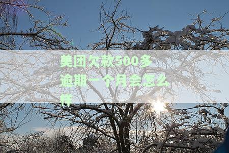 美团欠款500多逾期一个月会怎么样