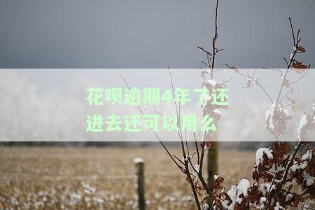 花呗逾期了四个月现在还进去还能正常使用吗，花呗逾期四个月，现在还款还能正常使用吗？