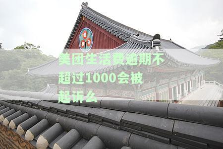 美团生活费逾期几百块钱会被起诉吗？影响及处理方法