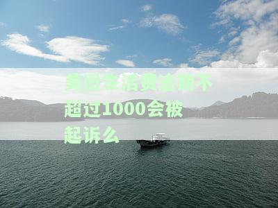 美团生活费逾期5000块：结果、处理方式及法律风险解析