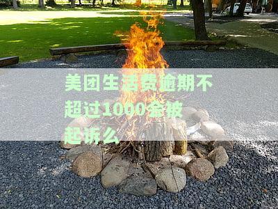 美团生活费逾期不超过1000会被起诉么