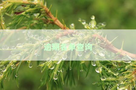逾期人员名单查询系统，查询逾期人员名单的高效系统