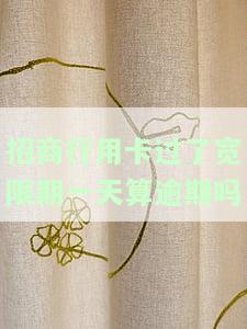 招行信用卡逾期一天会否上征信？宽限期内还款是否可行？