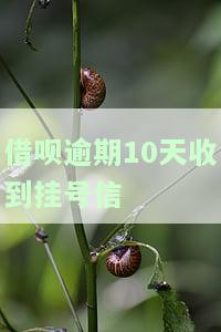 支付宝借呗逾期收到挂号信：如何处理？是否会通知本人？