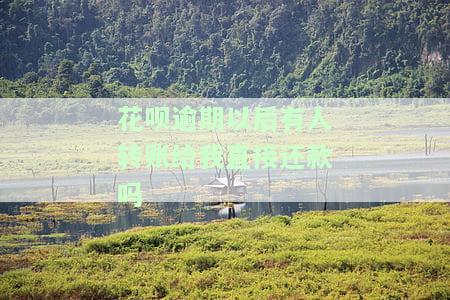 花呗逾期以后有人转账给我直接还款吗？真的吗？