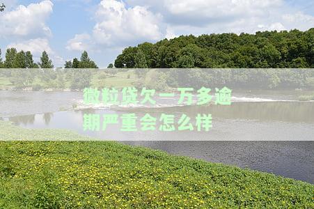 微粒贷欠一万逾期了会坐牢吗，逾期未还微粒贷一万，是否会因此被追究刑事责任？
