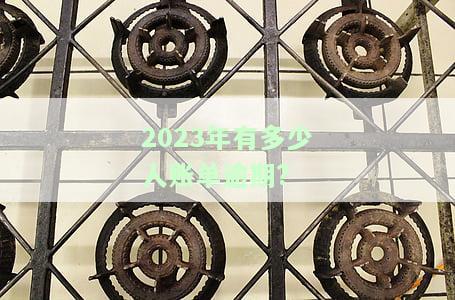 2023年有多少人账单逾期了呢，探究2023年账单逾期情况：逾期人数及原因分析