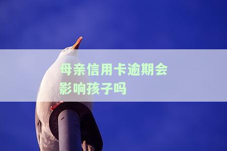 母亲信用卡逾期会影响孩子吗