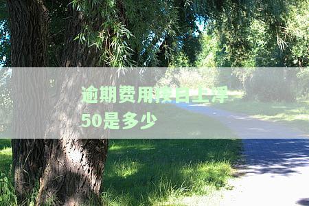 逾期费用有没有上限，逾期费用是否有上限？你需要知道的一切