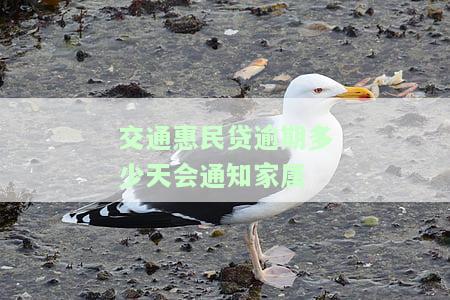 交通民贷逾期多少天会通知家属还款？27笔逾期，征信受影响，逾期一天是否会被催收？