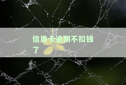 信用卡逾期不扣钱了会怎么样，信用卡逾期未扣款：后果严重，需要重视