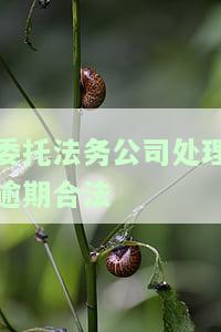 法务委托书：格式、本及含义详解，委托方法务部进行法律事务处理