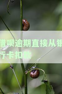 借呗逾期直接从银行卡扣款可以吗，借呗逾期：可以直接从银行卡扣款吗？