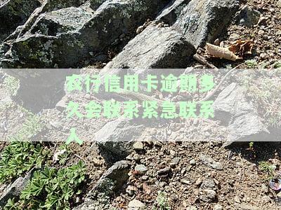 农行信用卡逾期多久会联系紧急联系人