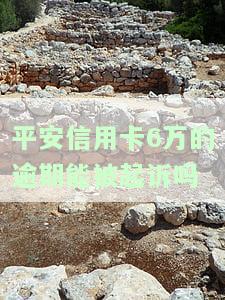 平安信用卡6万的逾期能被起诉吗