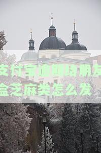 支付宝逾期快速获取芝麻粒：真的有效吗？如何修复逾期影响？