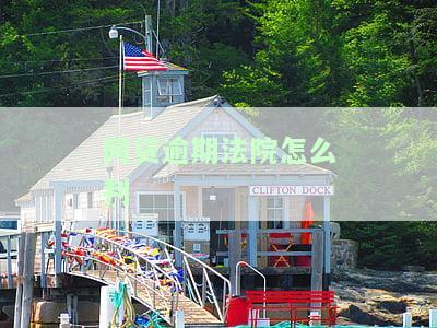 网贷逾期法院如何判定诈骗罪：标准、案例、主体与判决，立案要求及构成要件详解
