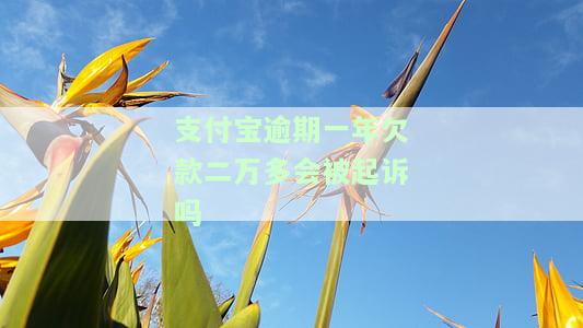 支付宝逾期一年欠款二万多会被起诉吗-支付宝逾期一年欠款二万多会被起诉吗知乎