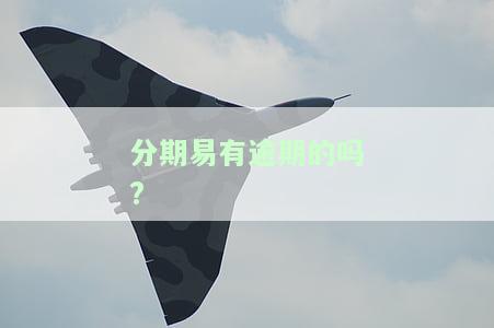分期易有逾期的吗?