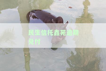 民生信托鑫苑逾期兑付-民生信托兑付公告