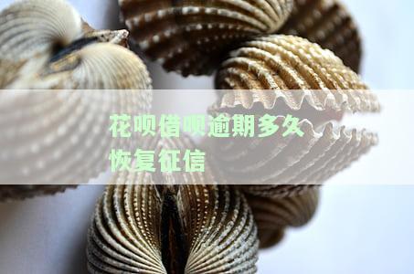 花呗借呗逾期多久恢复征信-花呗借呗逾期多久恢复征信记录