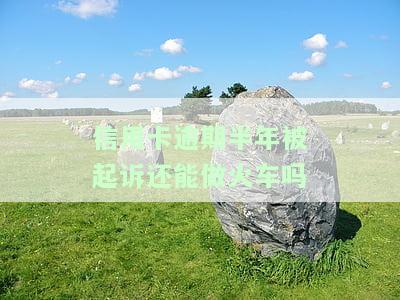 欠信用卡钱还不上被起诉了还能坐火车吗，欠信用卡钱还不上被起诉，能否继续乘坐火车？