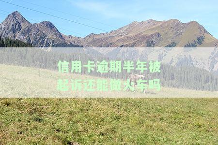 欠信用卡被起诉还能坐高铁吗，欠信用卡被起诉是否影响乘坐高铁？