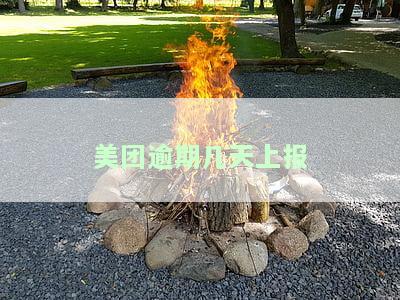 美团逾期几天上报征信，逾期还款的后果：美团会对逾期记录进行征信上报吗？