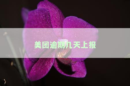 美团逾期几天会怎么样，美团逾期：几天会产生什么后果？