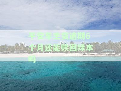 平安车主贷逾期2天上征信吗？影响及解决办法