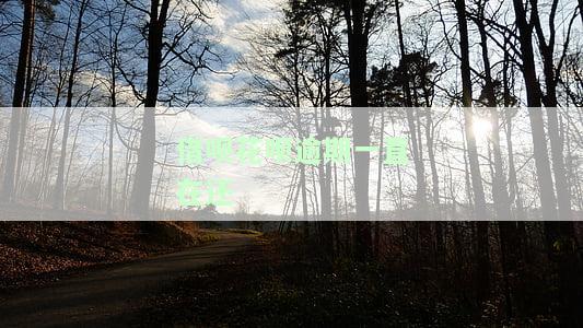 借呗显示花呗有逾期，还完多久能再用？逾期后影响花呗、借呗使用及征信吗？