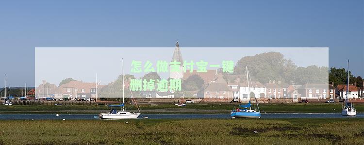 支付宝怎么删除逾期记录，如何在支付宝中删除逾期记录？