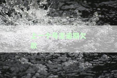 上一个号主逾期欠款