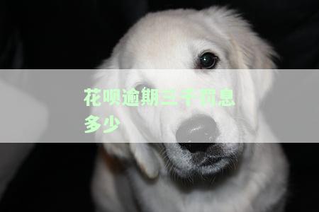 花呗逾期三千罚息多少