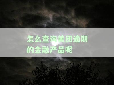 怎么查询美团逾期的金融产品呢-怎么查询美团逾期的金融产品呢