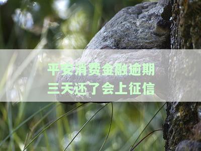 平安消费金融逾期3天：会影响征信吗？解决方法是什么？