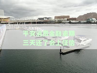 平安消费金融逾期三天还了会上征信