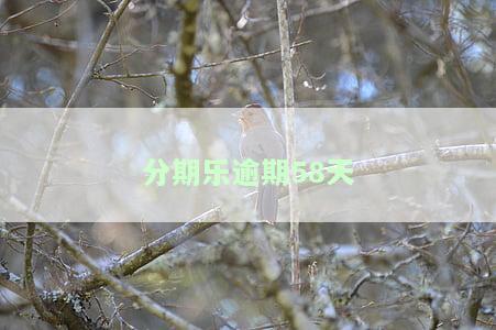 分期乐逾期五十天未处理会被起诉吗？已还款还能再借吗？逾期500多会被起诉吗？协商后仍未解决，逾期几天会有何后果？