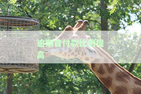 逾期首付款比例提高多少合适？如何确定合理金额及处理首付款逾期问题？