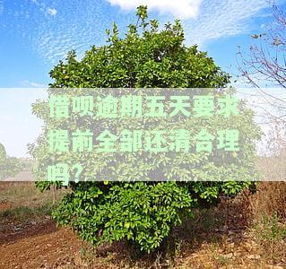 借呗逾期五天要求提前全部还清合理吗是真的吗，借呗逾期五天，被要求提前全部还清，这样做真的合理吗？