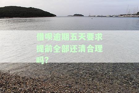 借呗逾期五天要求提前全部还清合理吗?-借呗逾期五天要求提前全部还清合理吗