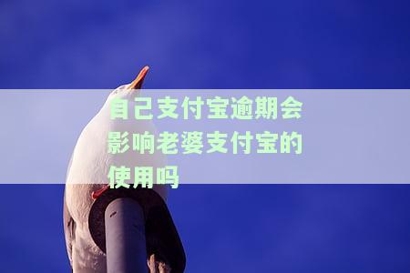 支付宝逾期会影响老公的支付宝吗？配偶、老婆逾期会连累银行贷款吗？逾期安全风险如何解决？