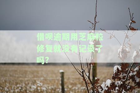 借呗逾期用芝麻粒修复就没有记录了吗?