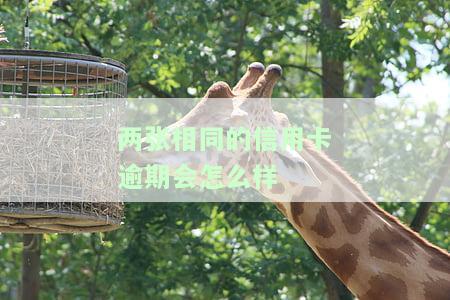 两张相同的信用卡额度有什么用，探讨相同额度的两张信用卡的实际用途