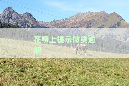 花呗上提示微贷逾期怎么回事，花呗提醒微贷逾期，你应该知道的原因和解决方法