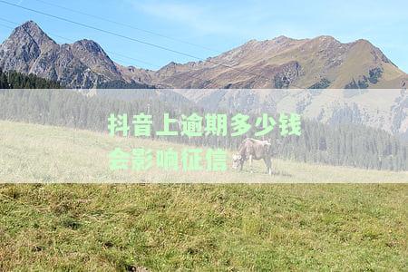 抖音上逾期多少钱会影响征信