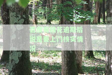 有钱花逾期2000说上门、发邮件去我村委会？真会上门调查还是诈骗手？