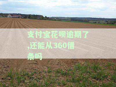 支付宝花呗逾期了,还能从吗-支付宝花呗逾期了,还能从吗