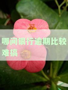 哪间银行逾期比较难搞